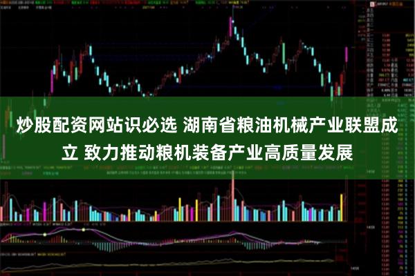 炒股配资网站识必选 湖南省粮油机械产业联盟成立 致力推动粮机装备产业高质量发展